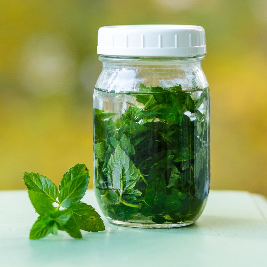 How to Make Homemade Mint Extract Sidewalk Shoes