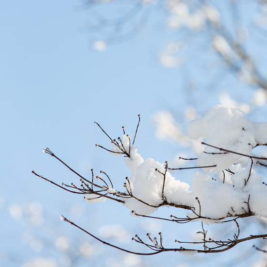 2014 snow - chattanooga