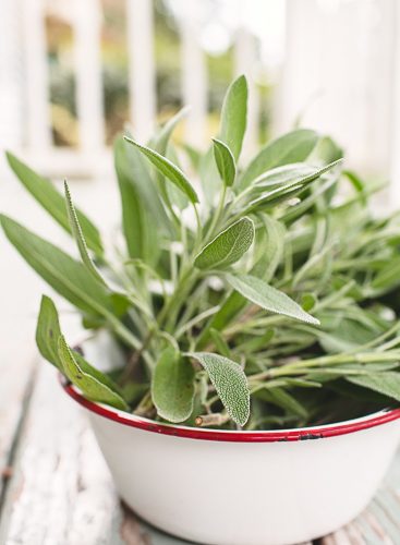 How to freeze sage