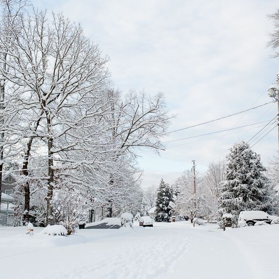 Chattanooga Snow 2015