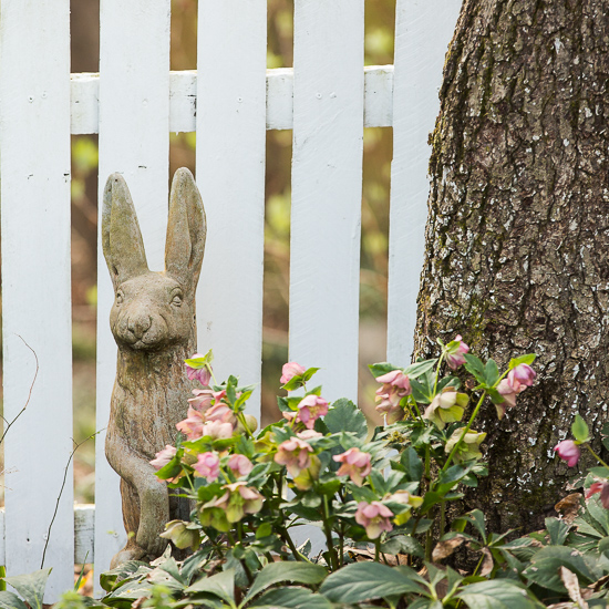 bunny statue