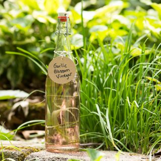 garlic blossom vinegar