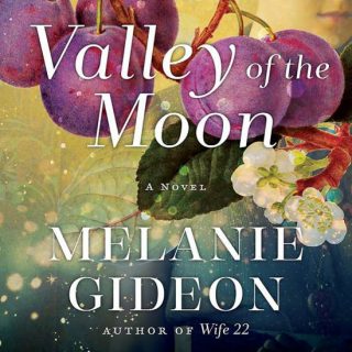 Valley of the Moon by Melanie Gideon
