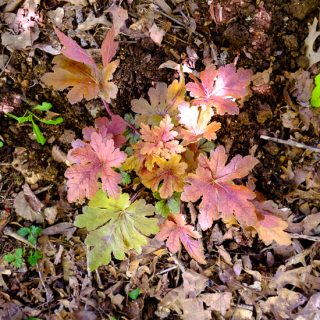 Fun and Games Hopscotch Foamy Bells