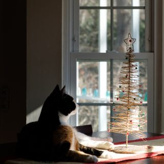 Calico cat Christmas Tree