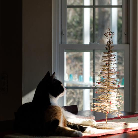 Calico cat Christmas Tree