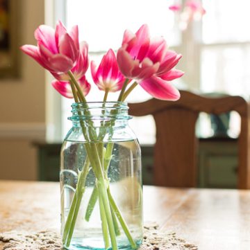 Tulips in a jar
