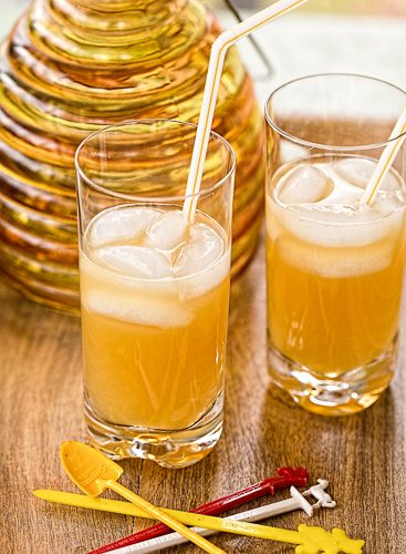 Orange-Ginger Fizz