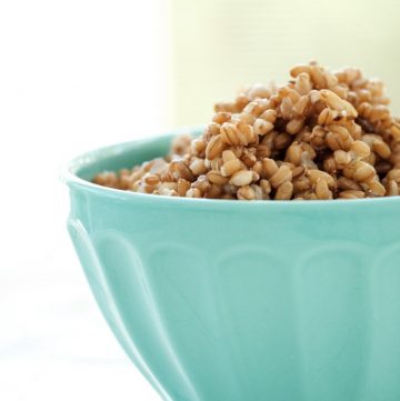 Blue bowl with cooked rye berries.