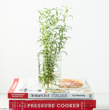 Instant Pot cookbooks