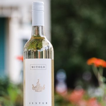 2016 Mitolo Jester Vermentino