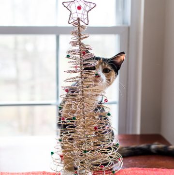 Calico kitten and her Christmas Tree