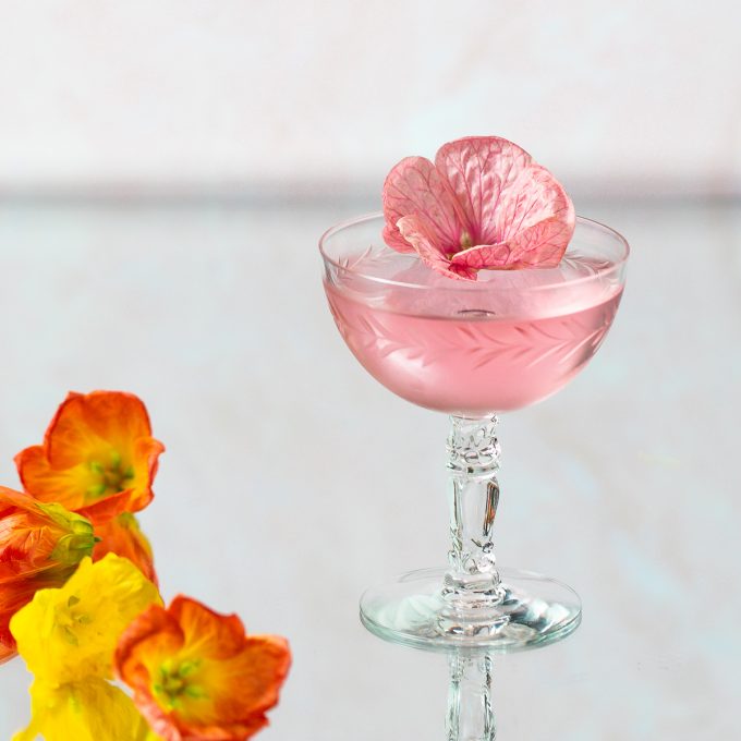 Pretty pink cocktail garnished with a flower.