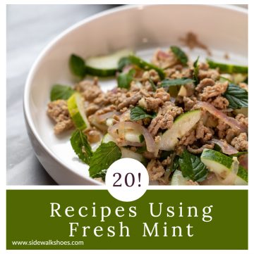 Chicken salad with text reading 20 recipes using fresh mint.