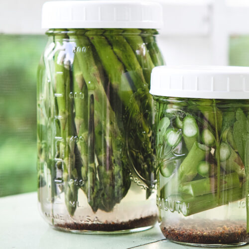 Two jars of quick pickled asparagus.