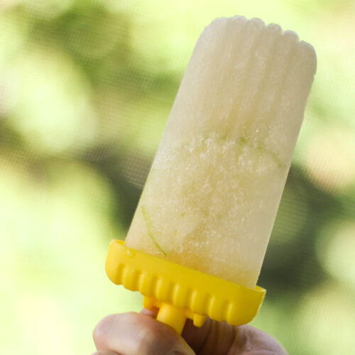 Close up of apple ginger popsicles.