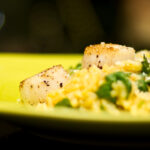 Scallops on a bed of risotto on a yellow plate.