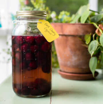 Jar with cherries and vodka with tag reading dark cherry liqueur.